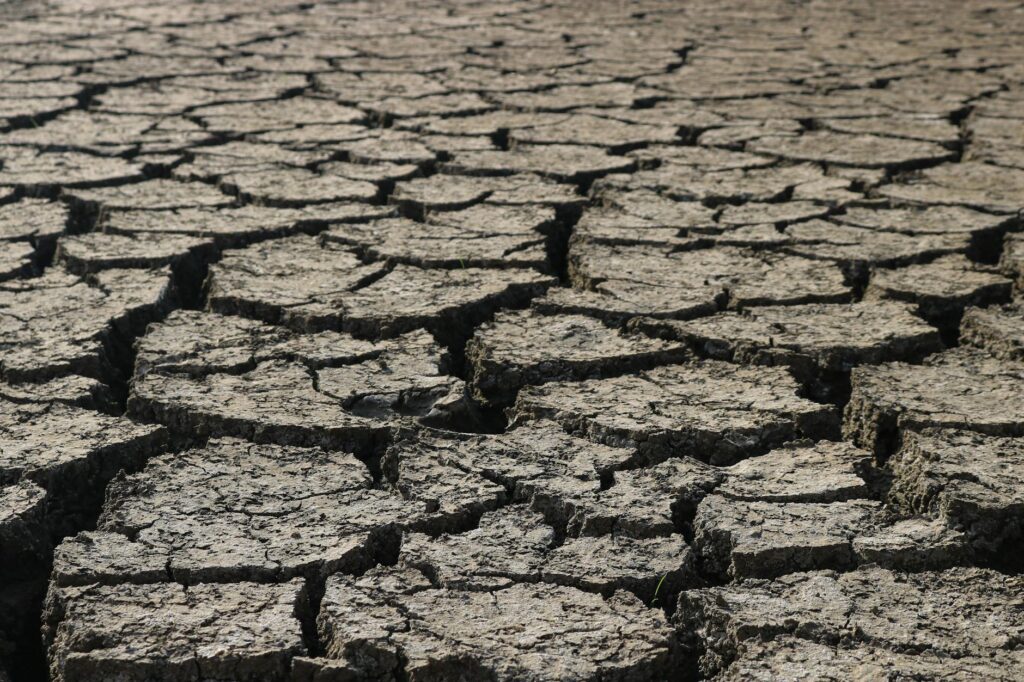 Climate Risk & Property Values: 2025 Impact Guide